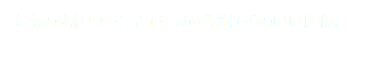 実家の先住ワンコとはつかず離れずのいい関係。