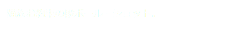 猫族お約束の段ボール・ショット。