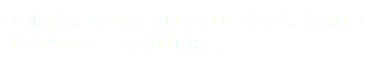 ベルお気に入りのまるいキャリーバッグ。運ぶほうは大変でした･･･。今は寝床。