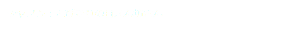 シャノン：とびきりの甘えん坊さん