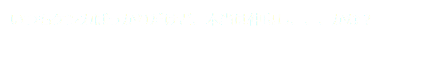 いつもケンカばっかりだけど、本当は仲良し、、、かな？