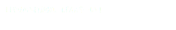 甘やかされ放題、ばんざーい！