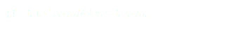 ぱくにいちゃんが大好きにゃん。