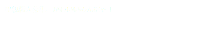 里親様大募集、かわいいみんにゃ！