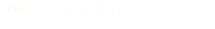 里親様大募集、へそ天もできるにゃ！