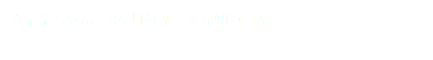 ☆茶茶ちゃん　8ヶ月位♀　人見知りさん