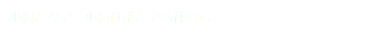 小梅とクマ、小梅は誰とでも仲良し