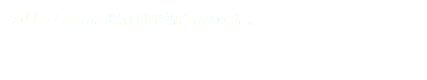 カリンちゃん。現在は里親さんの元に。