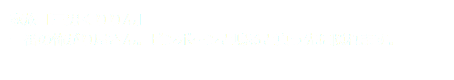 家族「三男くりりん」 一番の怖がり屋さん。ピンポ～ンと鳴ると真っ先に隠れます。